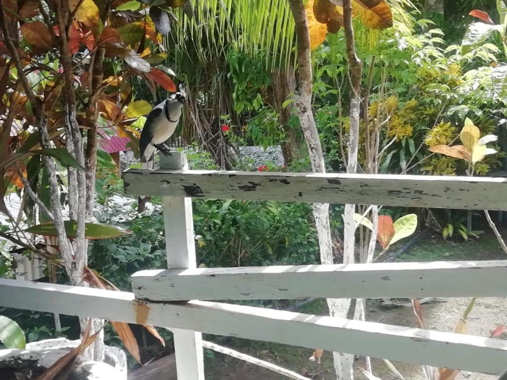 Donde Familia Manito Bed & Breakfast Paquera Ngoại thất bức ảnh